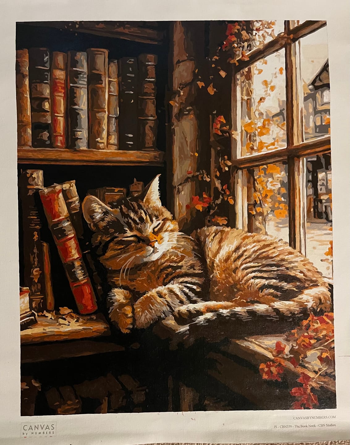 Customer photo review of The Book Nook