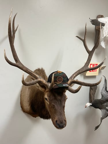 Customer photo review of Premium Custom Leather Patch Hats (Wholesale)