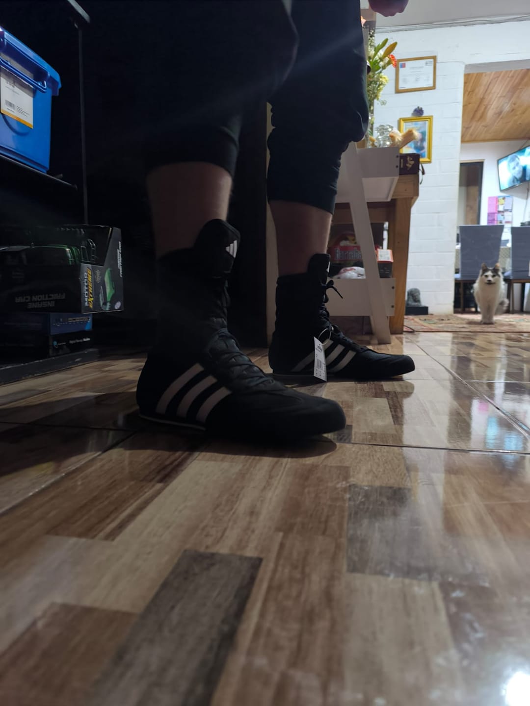 Customer photo review of Zapatillas De Boxeo Adidas BOX HOG II