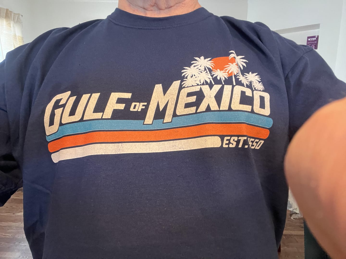Customer photo review of Gulf of Mexico Retro Stripe Comfort Colors T-Shirt