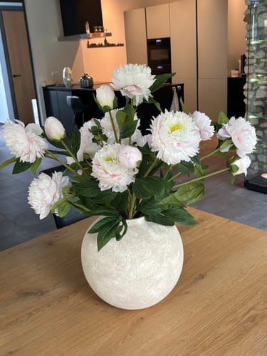 Customer photo review of Zijden Pioenrozen - Lichtroze (6 stengels/ 18 bloemhoofdjes)