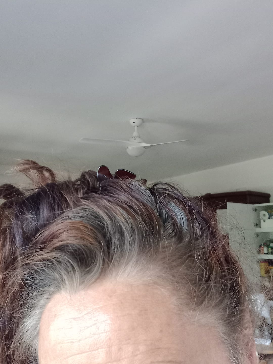 Customer photo review of GR-7 PRO