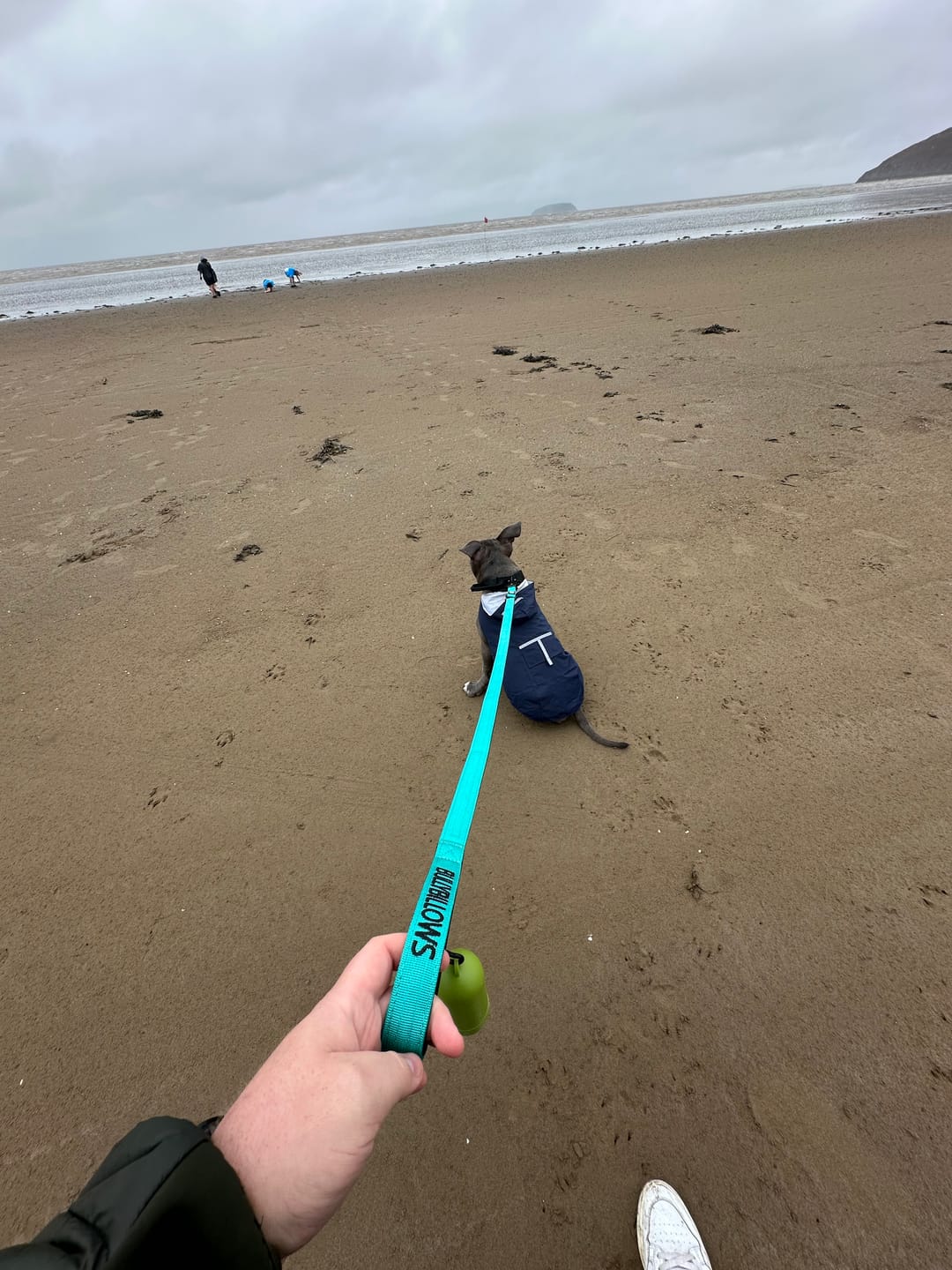Customer photo review of 5cm Combat® Collar | With Handle & Secure Clip - Turquoise