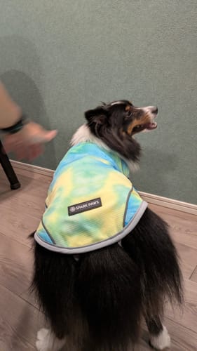 Customer photo review of Chilltech™ Dog Cooling Vests