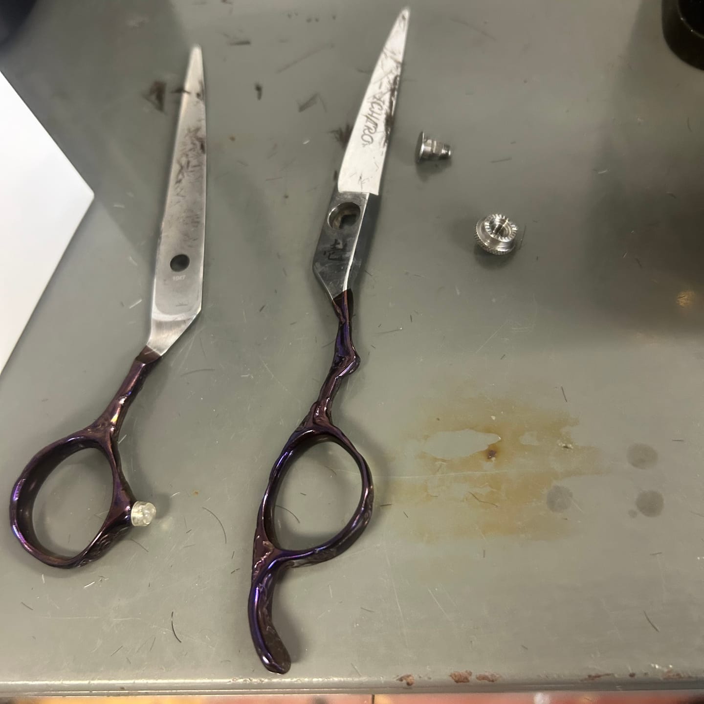 Customer photo review of Ichiro Amethyst Hair Cutting Shears