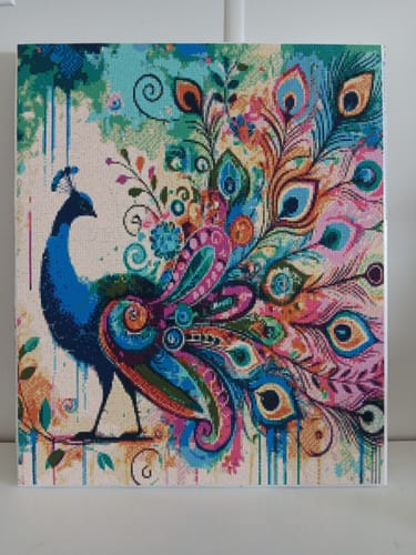 Customer photo review of Diamond Painting - Artistic Peacock