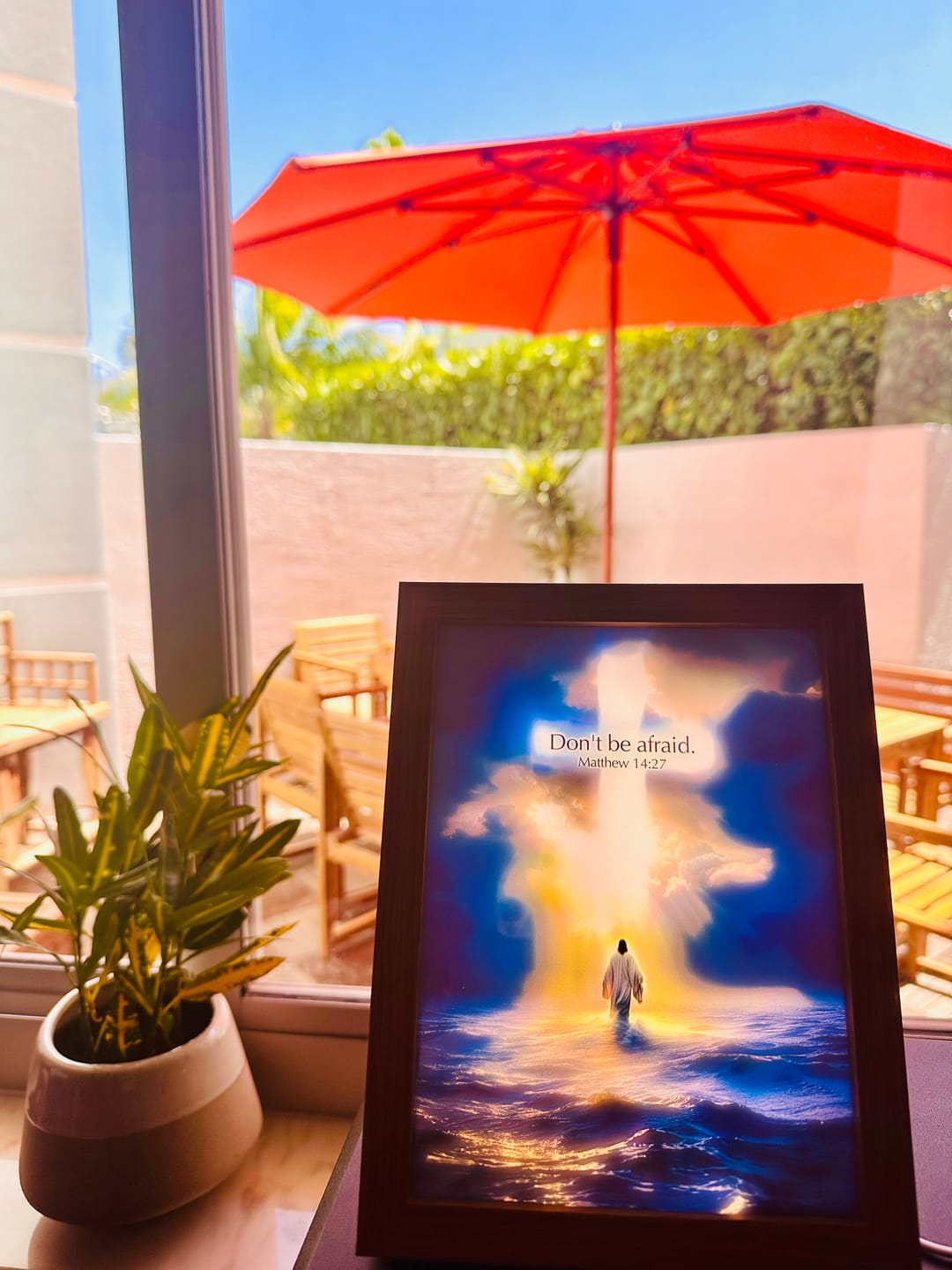 Customer photo review of Walk On Water