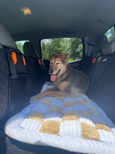 Customer photo review of RuffRover 2.0™ - Hard Bottom Dog Car Seat Protector + (FREE Dog Bed)