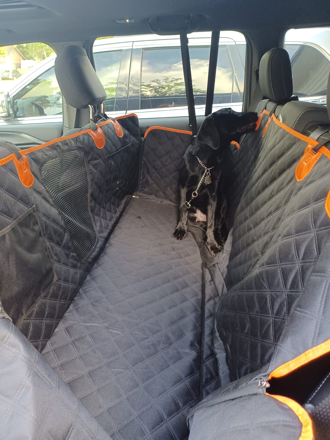 Customer photo review of FurGuard™: Hard Bottom Extender