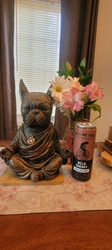 Customer photo review of Wild Cherry THC Seltzer, 6pk