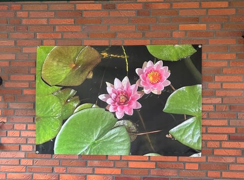 Customer photo review of Plane inkl. Druck