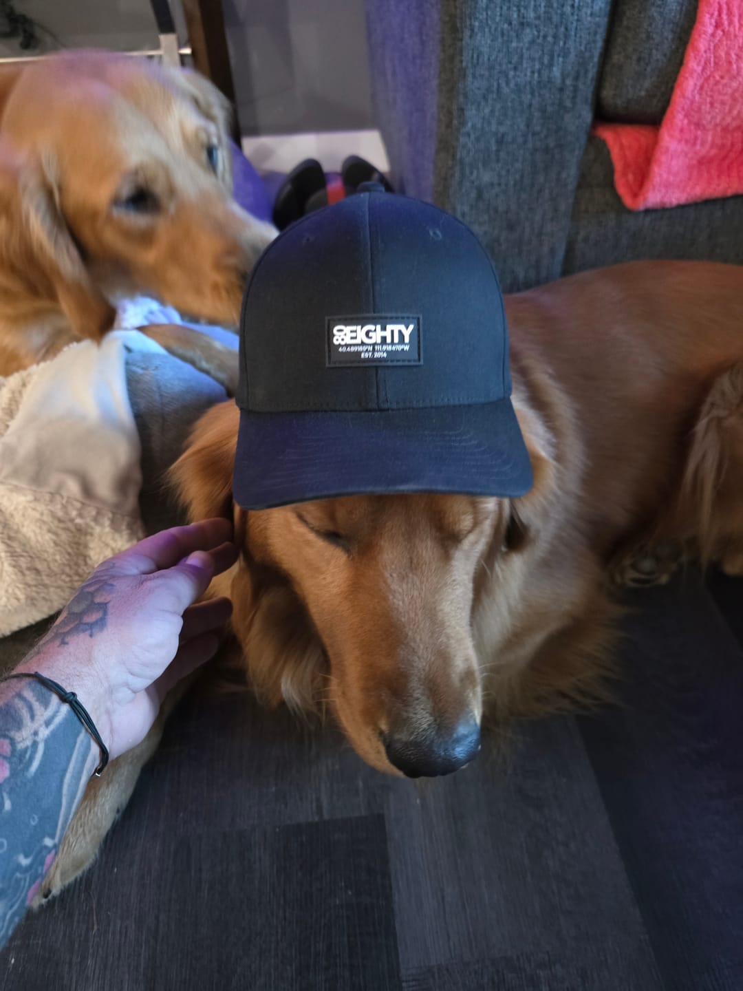 Customer photo review of 80Eighty® Murky Fitted Hat