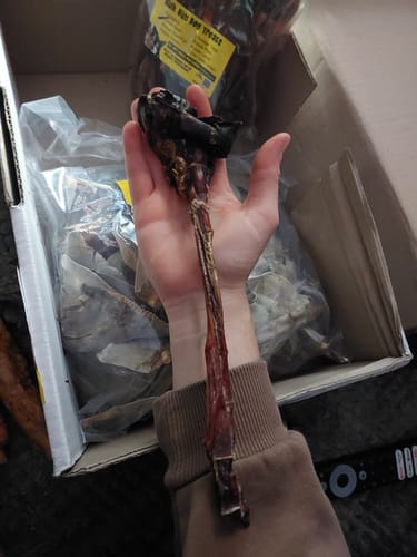 Customer photo review of Kangaroo Tendons - Natural Dental Chews!