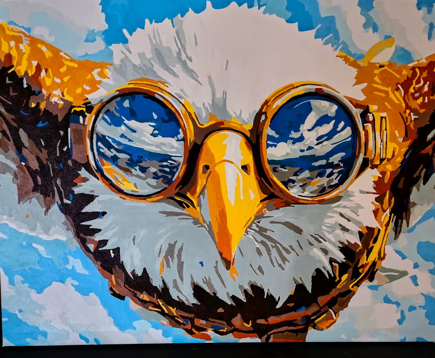 Customer photo review of Eagle Aviation