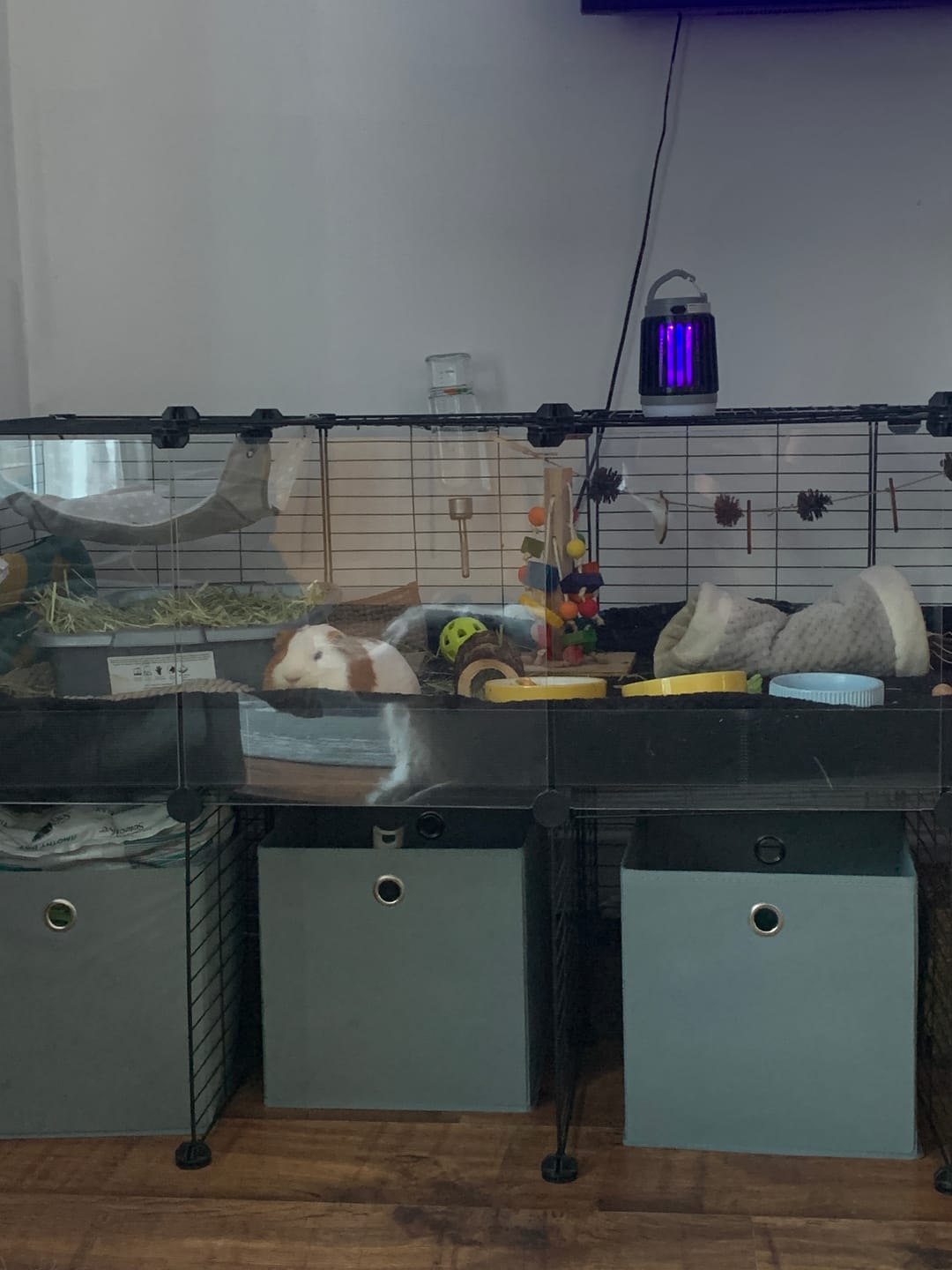 Customer photo review of 5x2 C&C Cage with Stand