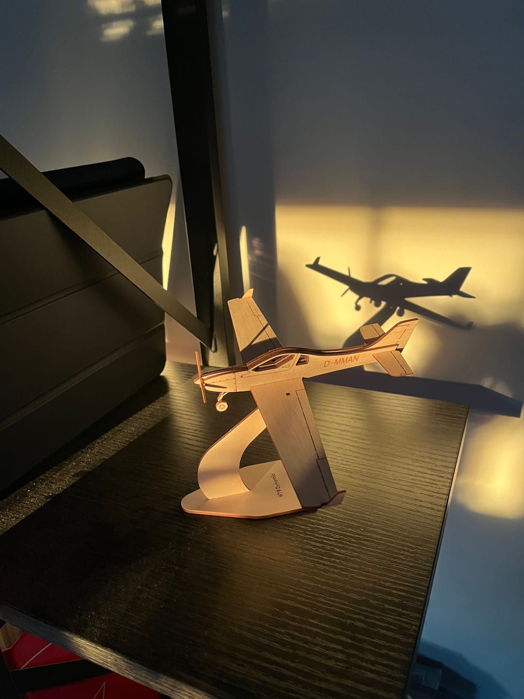 Customer photo review of WT 9 Dynamic Deko Flugzeugmodell Bausatz | Pure Planes