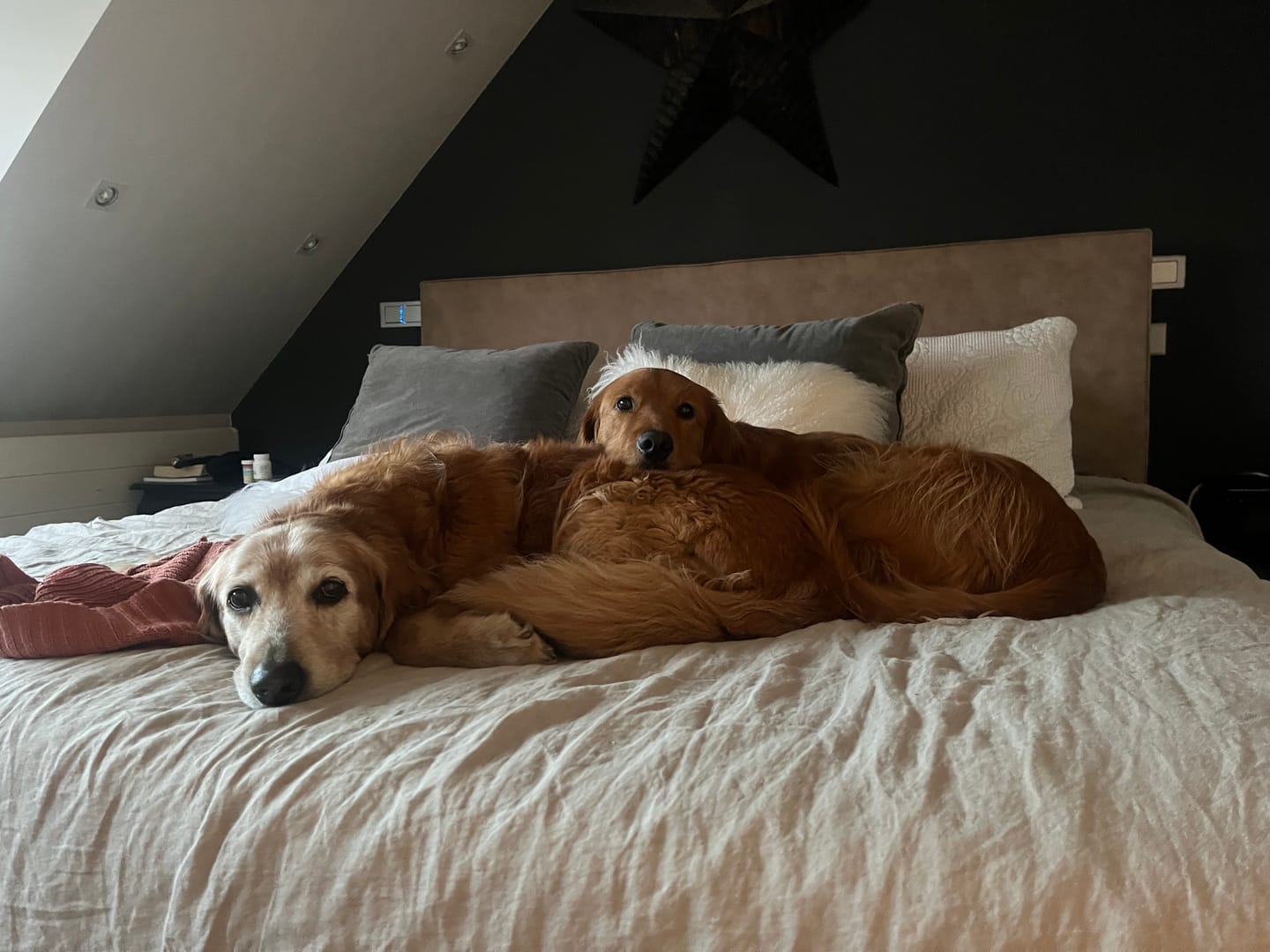 Customer photo review of Natural Linen Duvet Cover