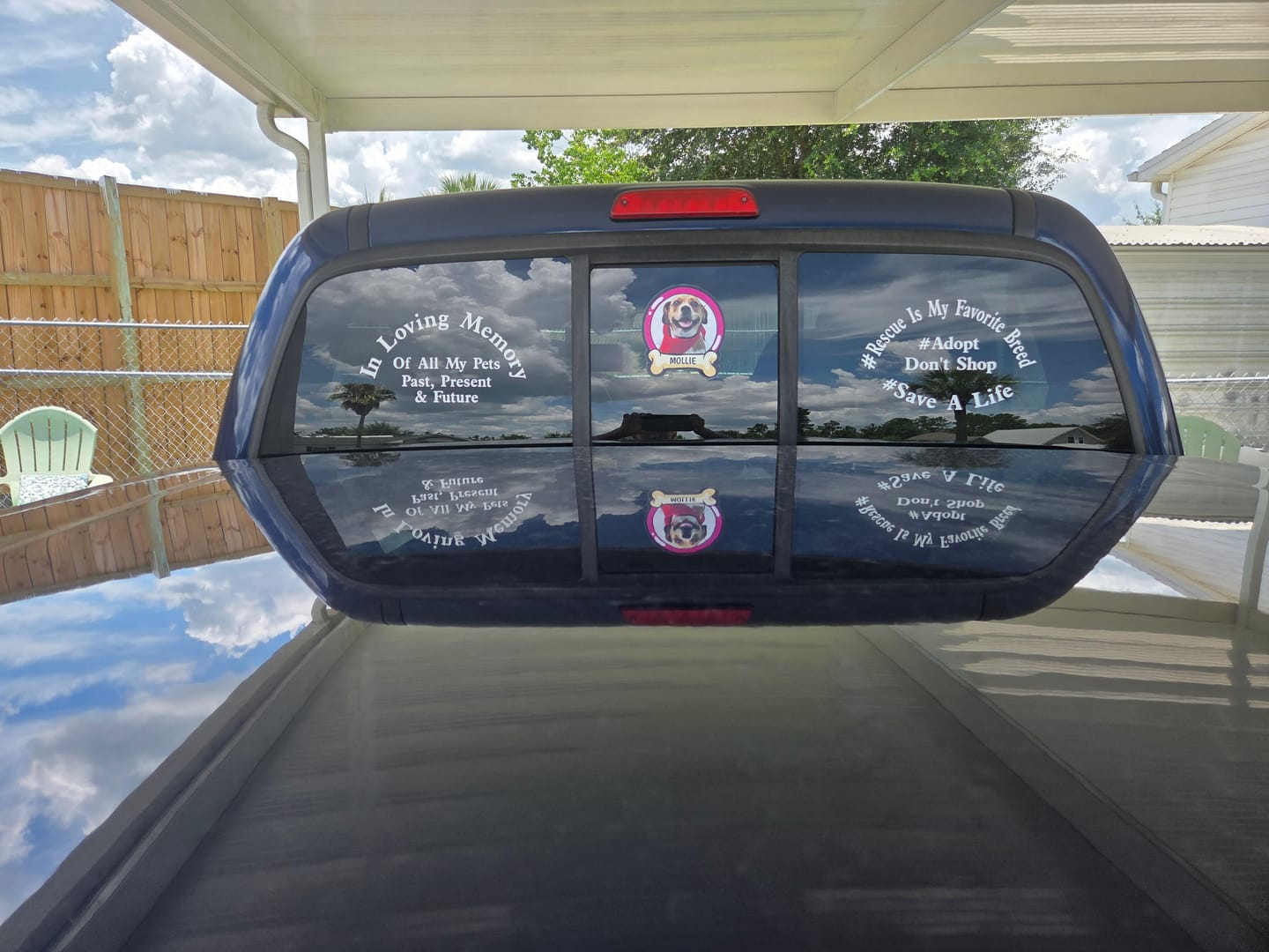 Customer photo review of Pets on board - Personalized Car Sticker