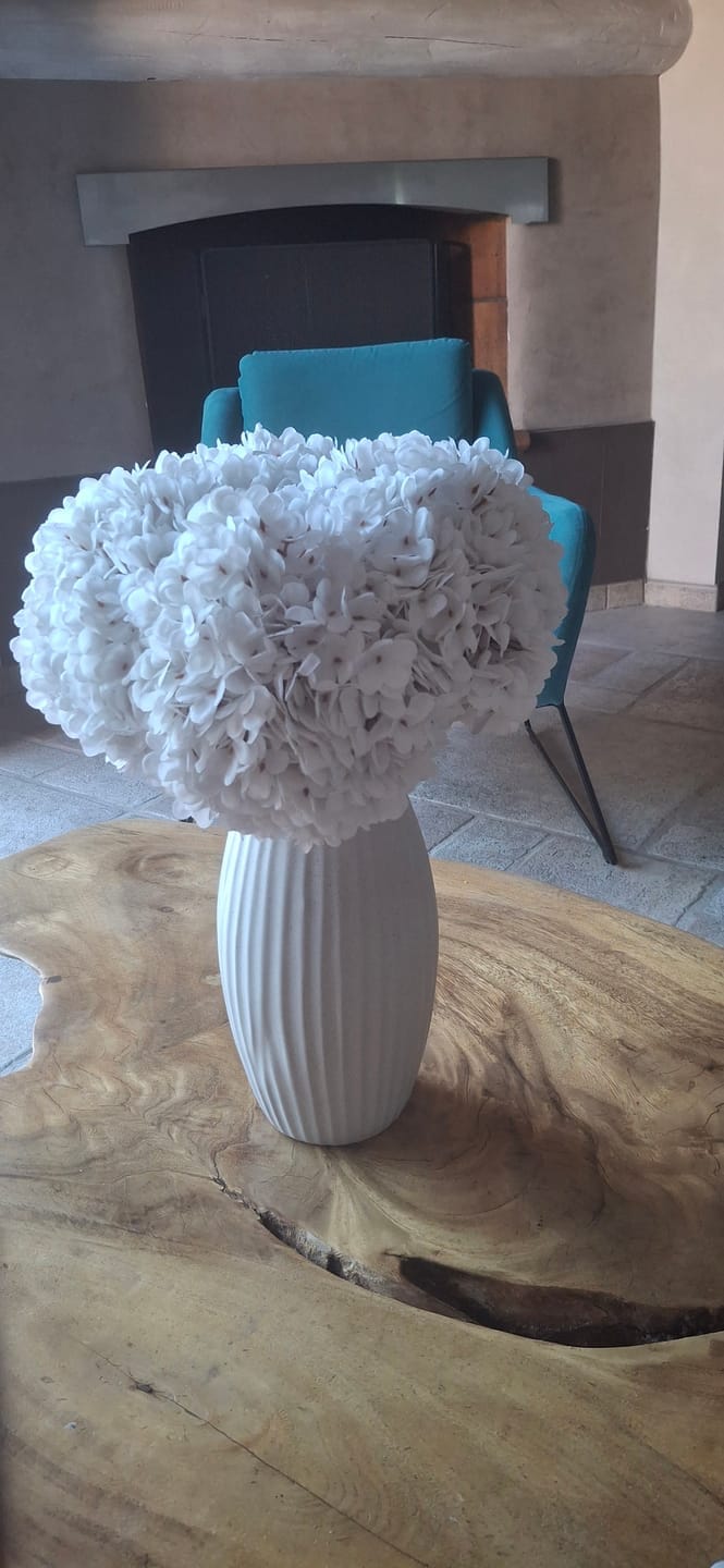 Customer photo review of Grote Zijden Hortensia - Wit