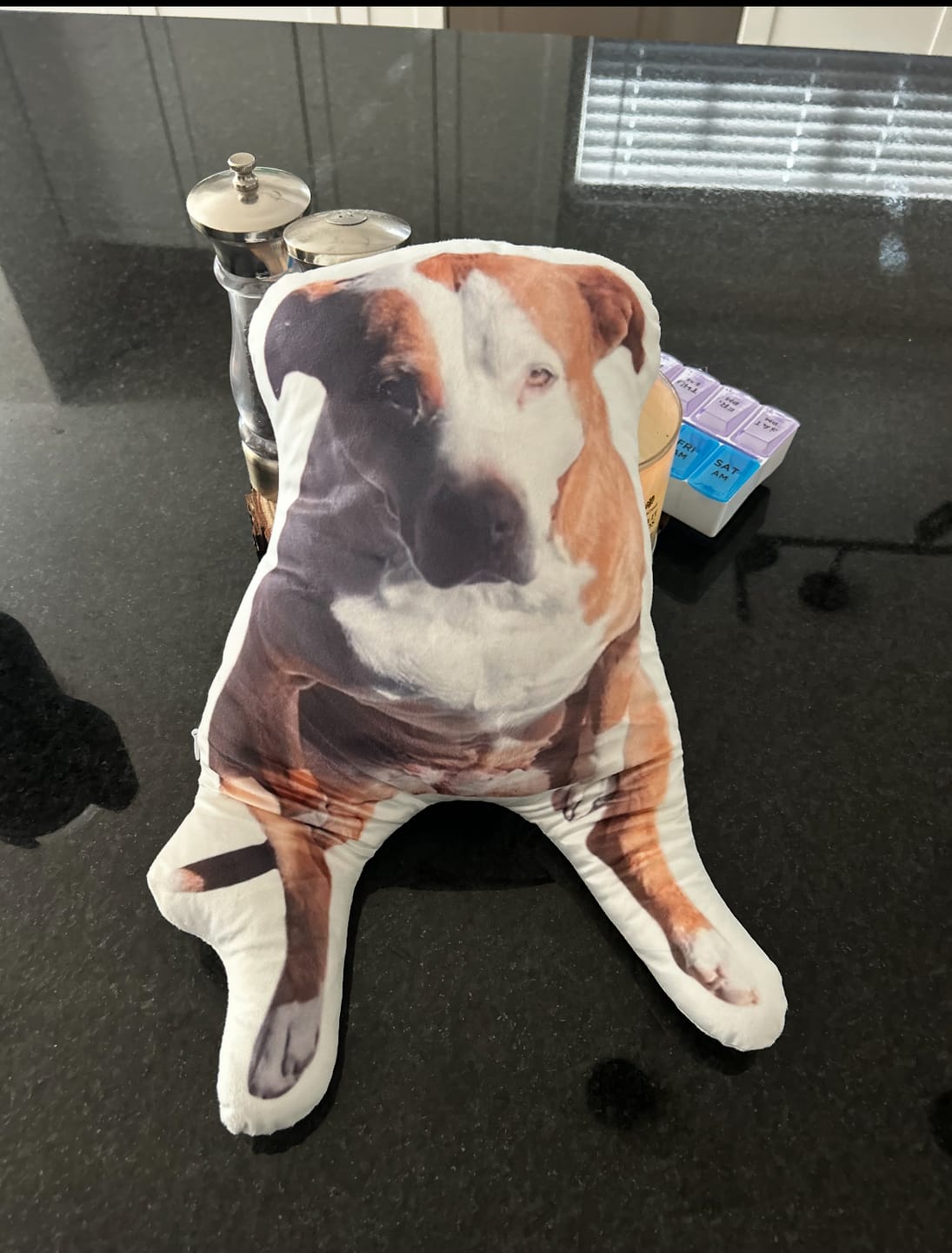 Customer photo review of Custom Dog Shaped Memorial Pillow for Pet Owners from Your Pet Picture