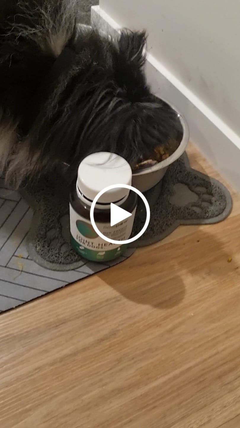Customer video review of Green Lipped Mussel for Dogs - Joint Health Supplement