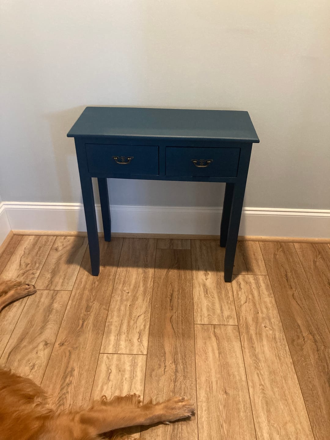 Customer photo review of One Step Paint - Midnight Dreams