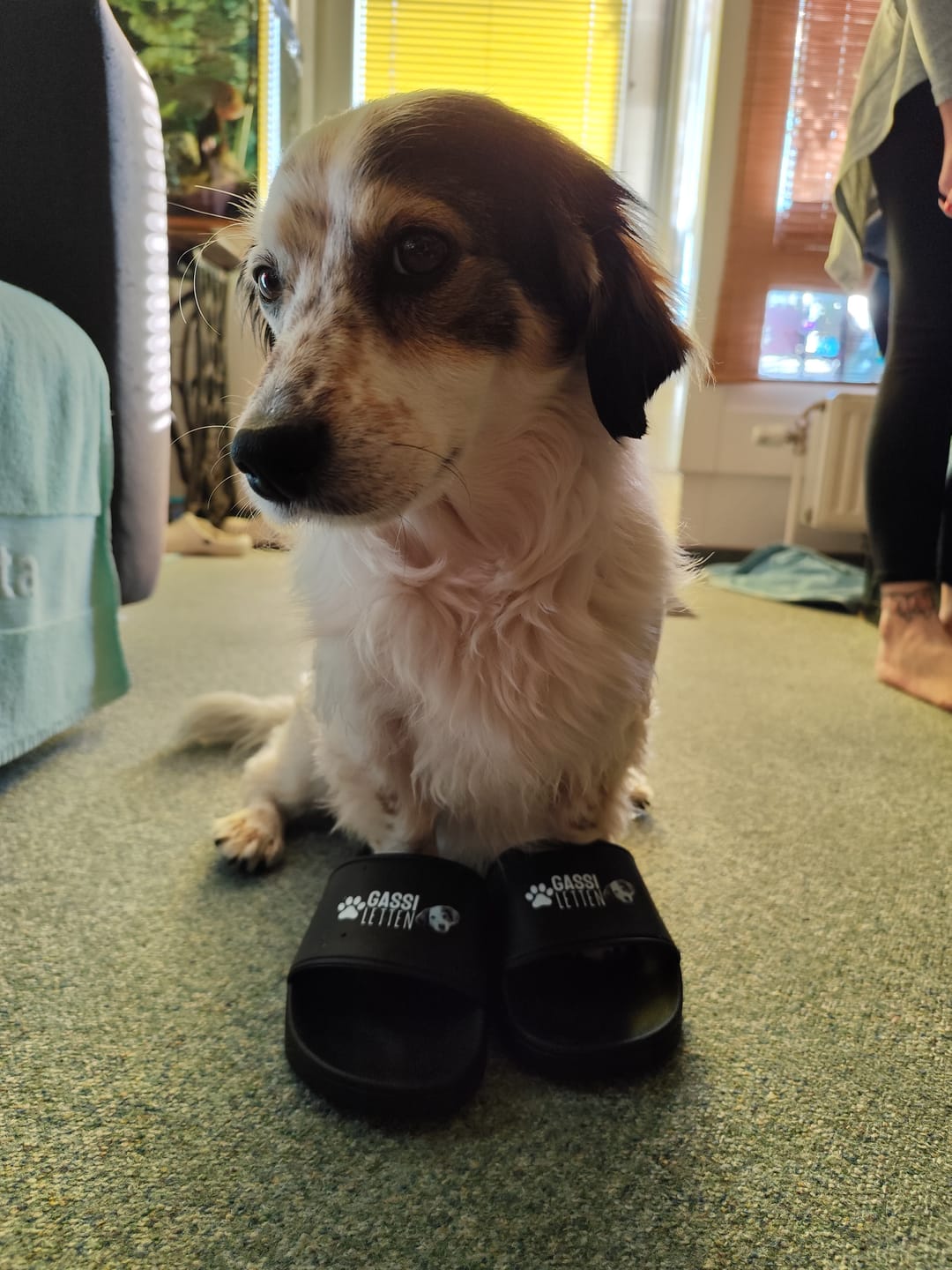 Customer photo review of Gassiletten - Individuelle Badelatschen