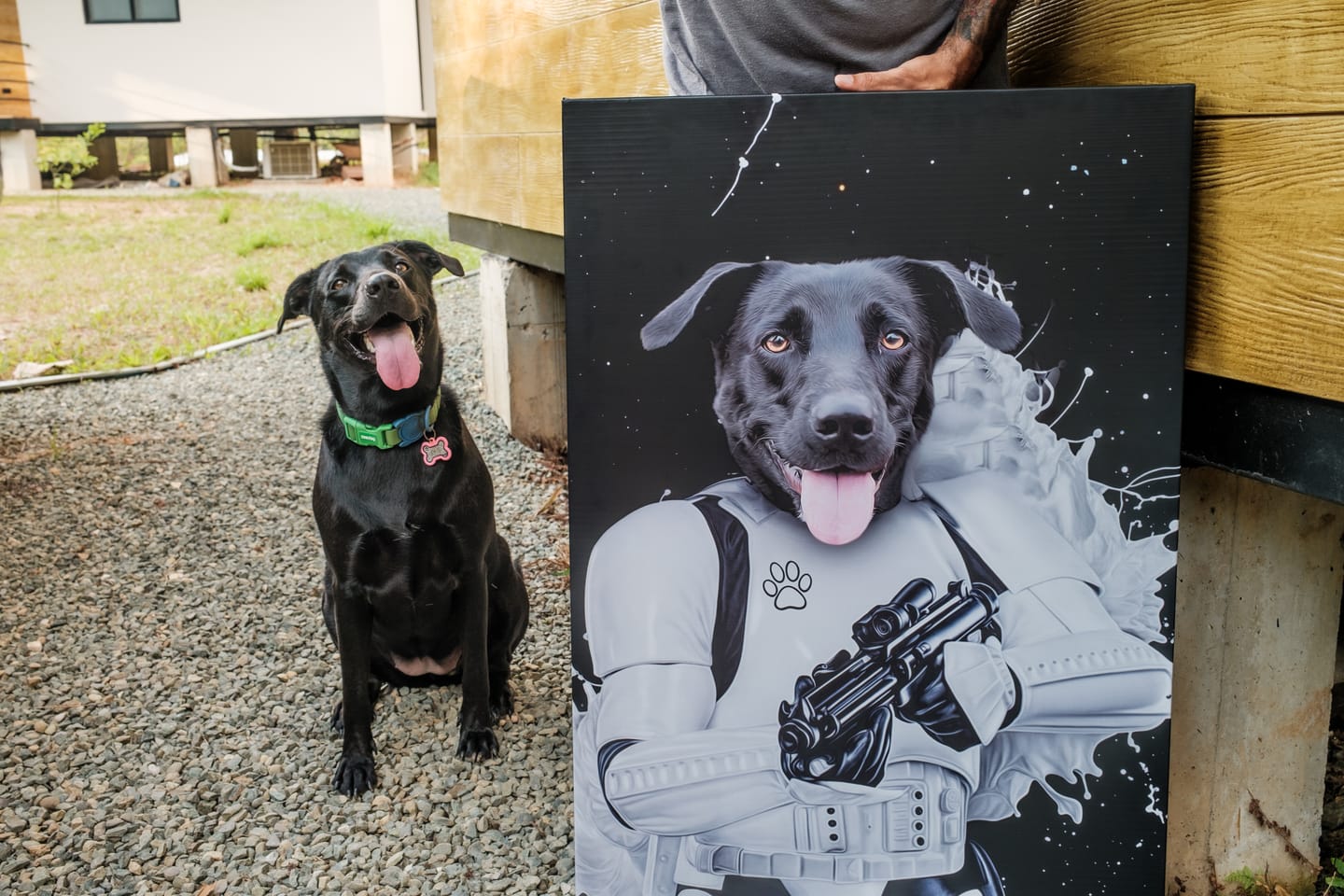 Customer photo review of Star Wars Stormtrooper