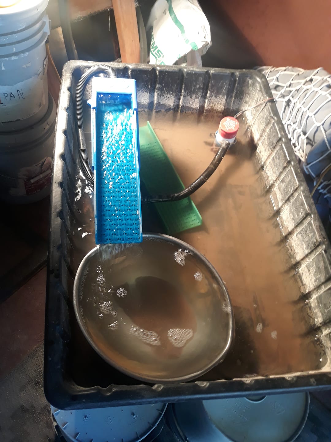 Customer photo review of Bering Sea Paydirt