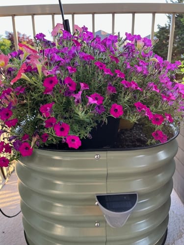 Customer photo review of 17" Tall Rolling Planter