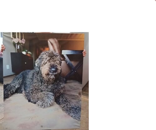 Sylvia E. review of THE BIG DEAL (1 x A0 + 2 x A1) image 1 out of 1