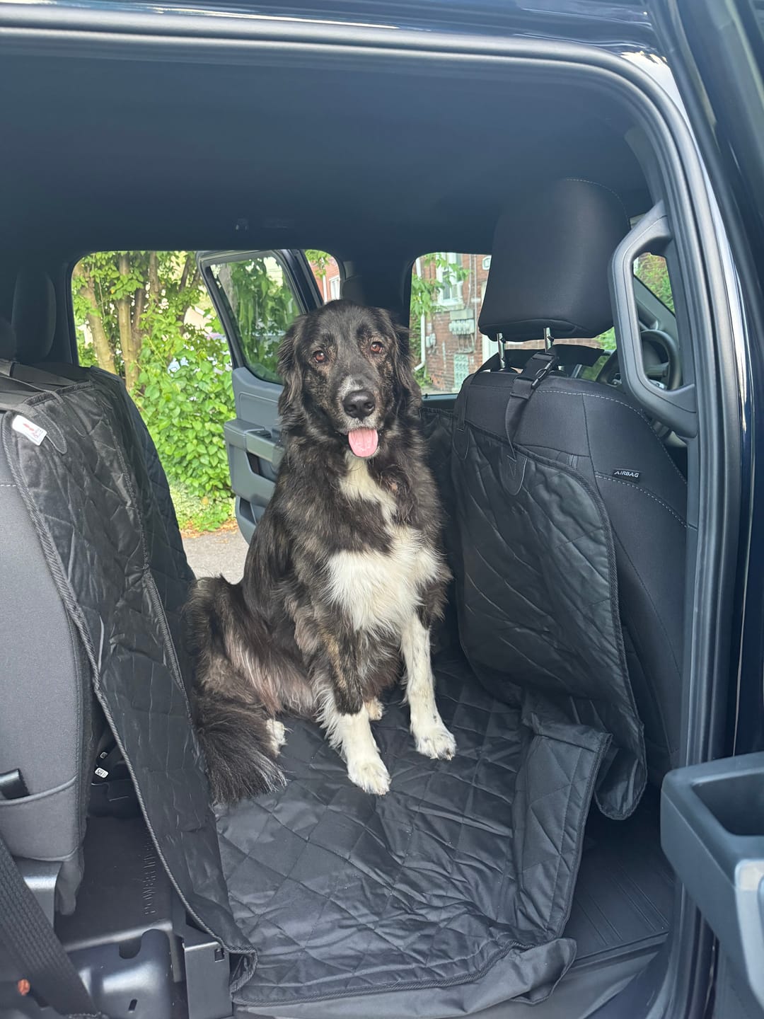 Customer photo review of Floor Hammock for Crew Cab Trucks - Passenger Side