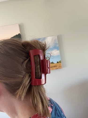 Customer photo review of cloud clip