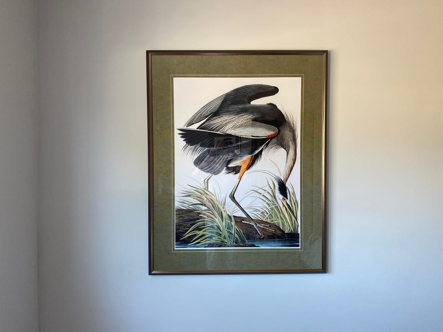 Customer photo review of Vintage Blue Heron By AMP