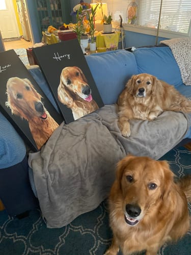Customer photo review of Pet Art Canvas Wrap