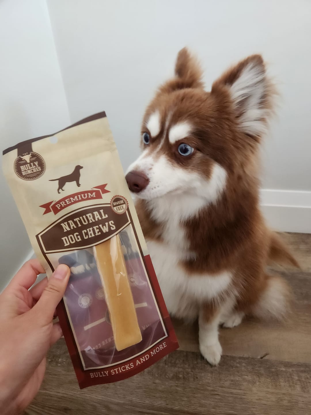 Customer photo review of Himalayan Yak Chew (SMALL)