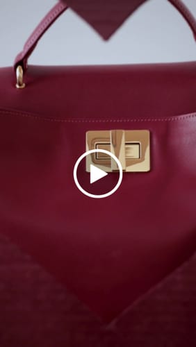 Customer video review of Zylix