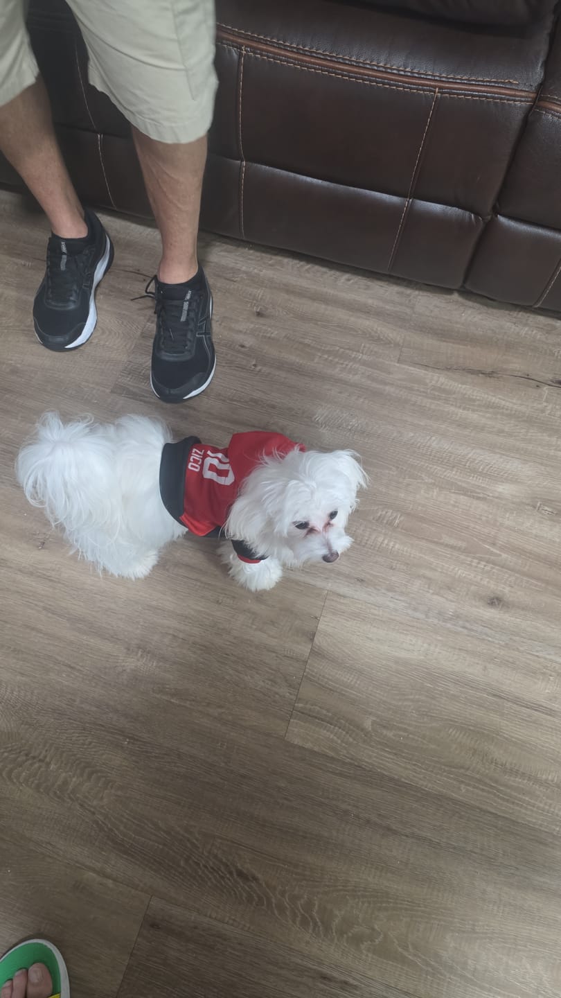 Customer photo review of CR Flamengo Dog Hoodie