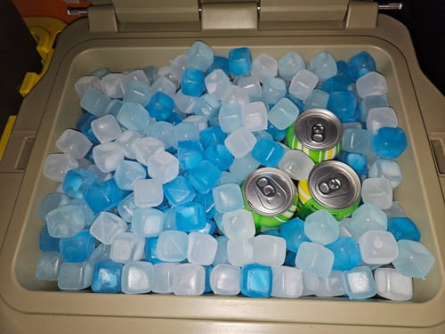 Customer photo review of FOREVER FREEZE BAG