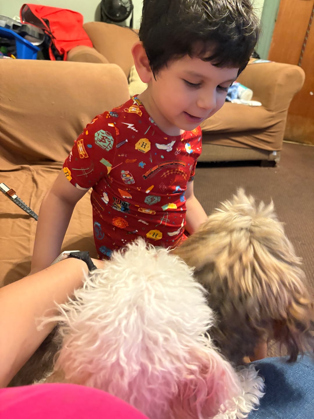 Customer photo review of Hogwarts Express Bamboo Kids Pajama Short Set