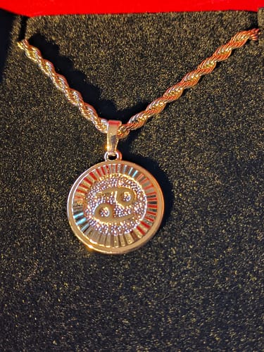 Customer photo review of Zodiac Necklace Silver