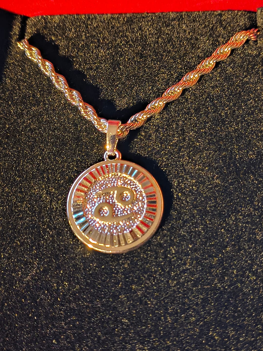 Customer photo review of Zodiac Necklace Silver
