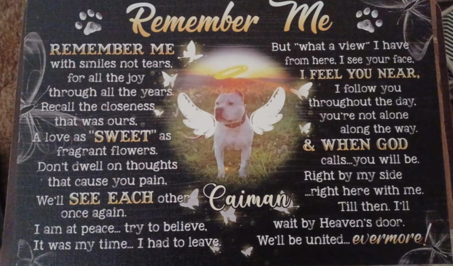 Customer photo review of Personalized Photo Canvas Prints, Custom Photo, Pet Loss Gifts, Memorial Gifts, Sympathy Gifts, Remember Me Dem Canvas