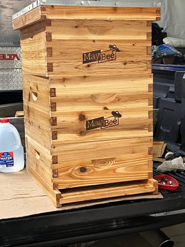 Customer photo review of MayBee Hives 10 Frame Complete Cedar Wood Beehive Kits Include: 2 Deep Bee Boxes And 1 Super Bee Box with Pine Wooden Frame And Beeswax Coated Plastic Foundation
