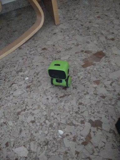 Customer photo review of Marvin the Robot Interactive Toy