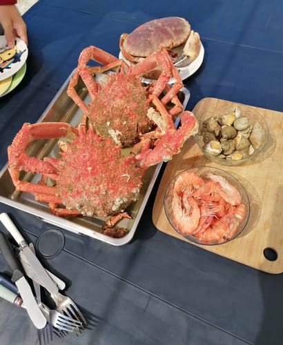 Customer photo review of Alpha Labz - OVRHEAT (disponible à partir du 22 juin)