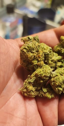 Customer photo review of Blue Dream - 28 Grams Bigs - Sativa
