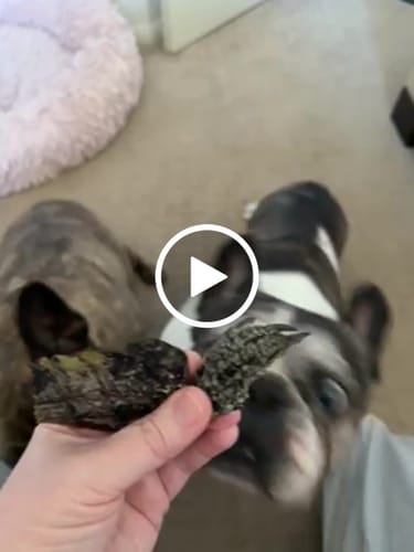 Customer video review of Shipping Protection