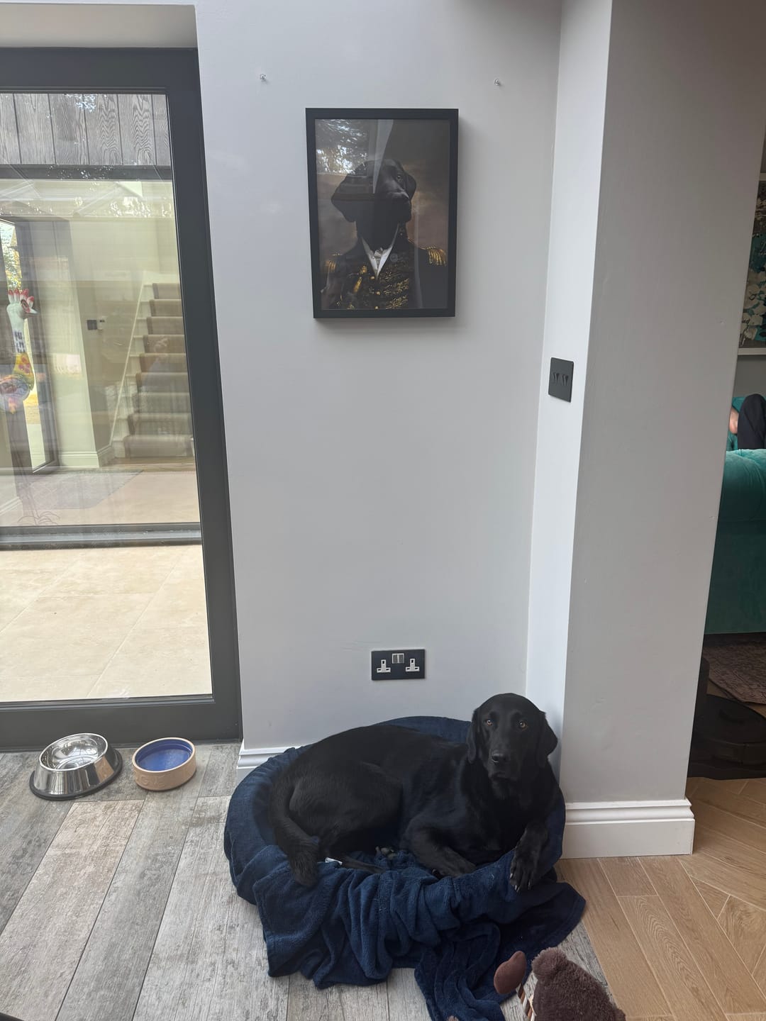 Customer photo review of The General: Custom Pet Portrait