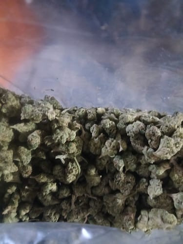 Customer photo review of Wedding Cake - Bulk Littles - Hybrid